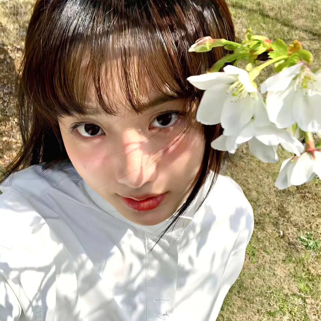 爱杀疑云